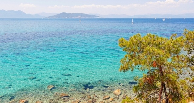 Sailing boats in the sea of Aegina
